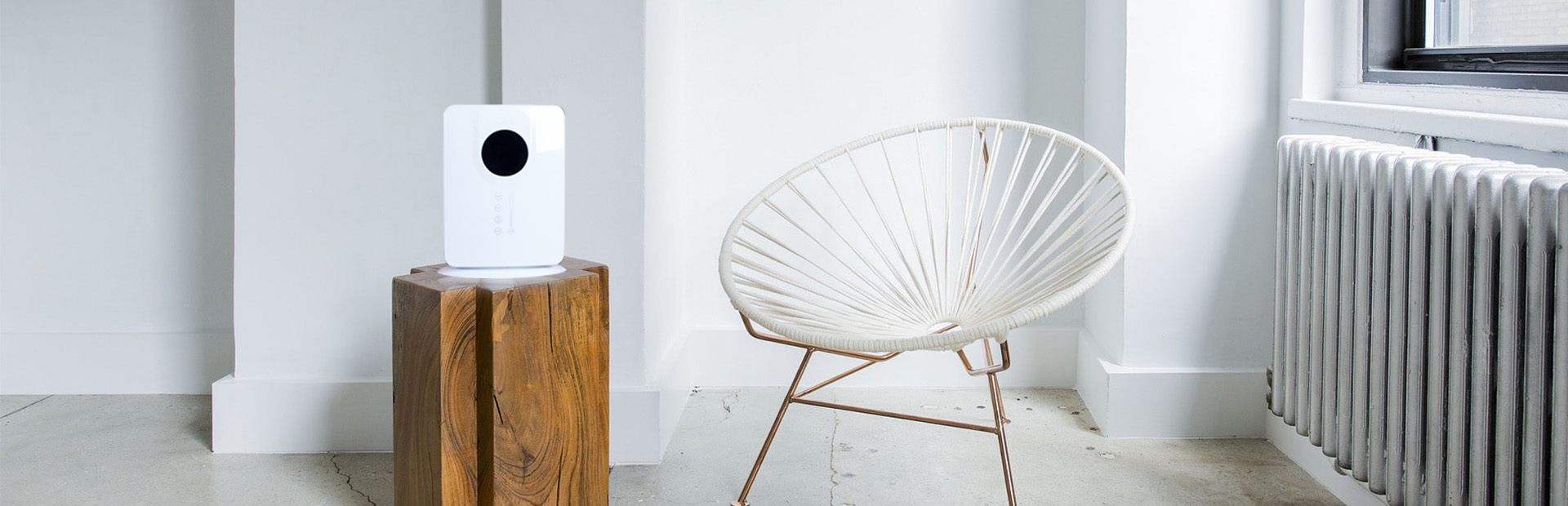 display floor washer