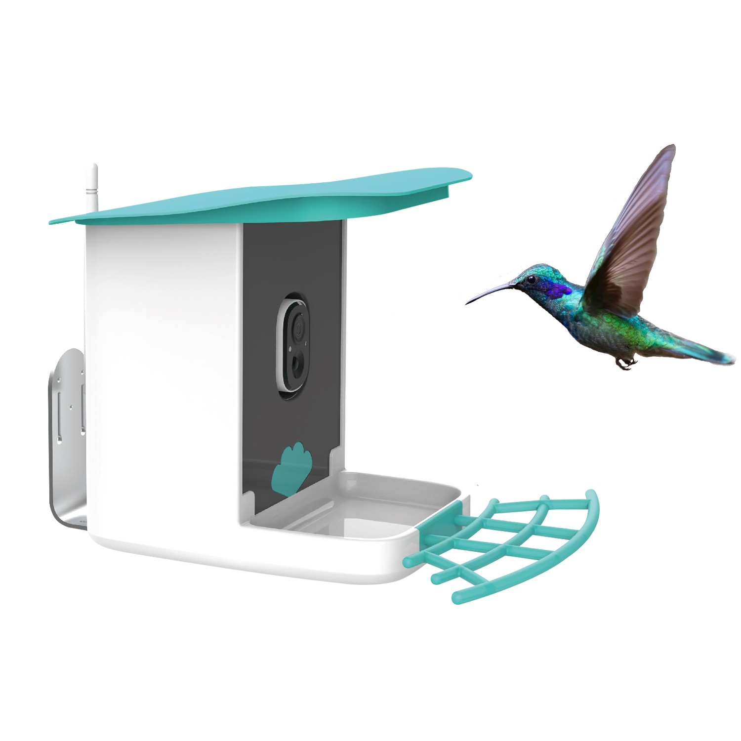 Hanging Classic Wild Bird Feeding Station for Garden 