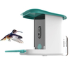 Hanging Classic Wild Bird Feeding Station for Garden 