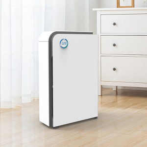 Popular smart hepa Air Purifier for Home