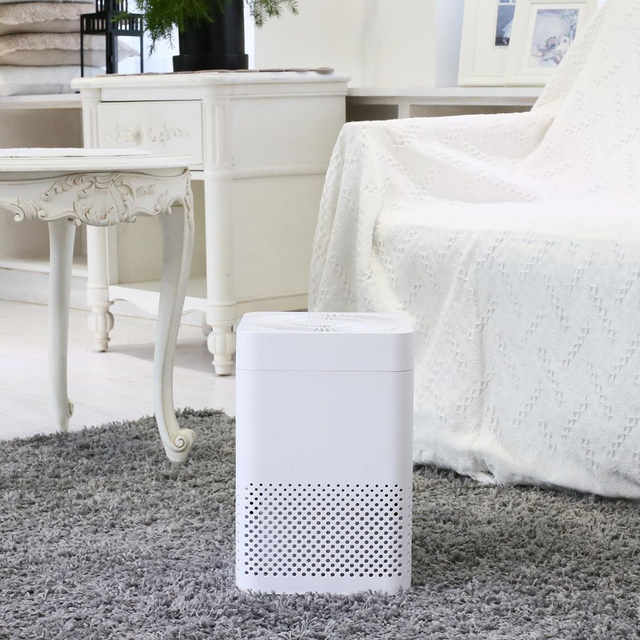 Small Smart Hepa Air Purifier for PM2.5