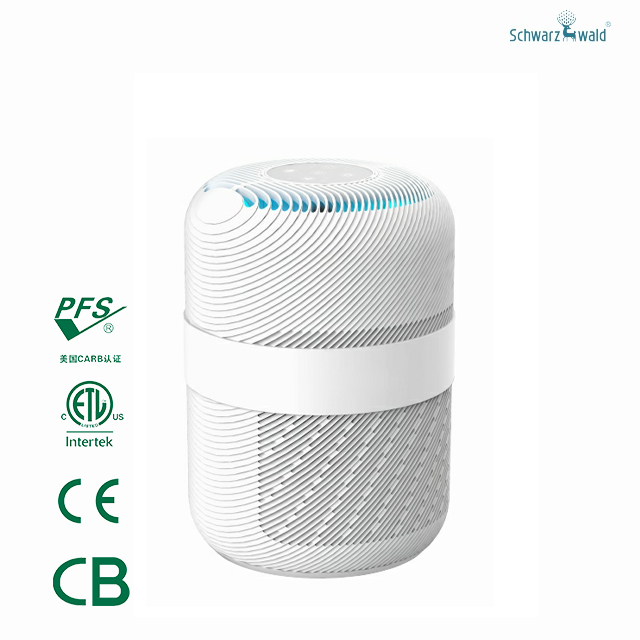 Portable Aromatherapy Air Purifier with Reset button for Room