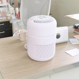 True Hepa Custom OEM Air Purifier for Office