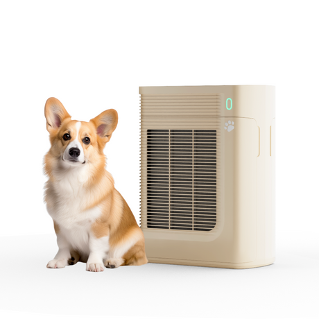 thumbnail interactive-video image 1 of SimPure HP8 True HEPA Air Purifier For Large Rooms – Covers 800 Sq Ft – Wildfire Smoke, Pet Dander 1 of 5