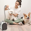 400W Super Silent Pet Grooming Vacuum Set for Dog And Cat 