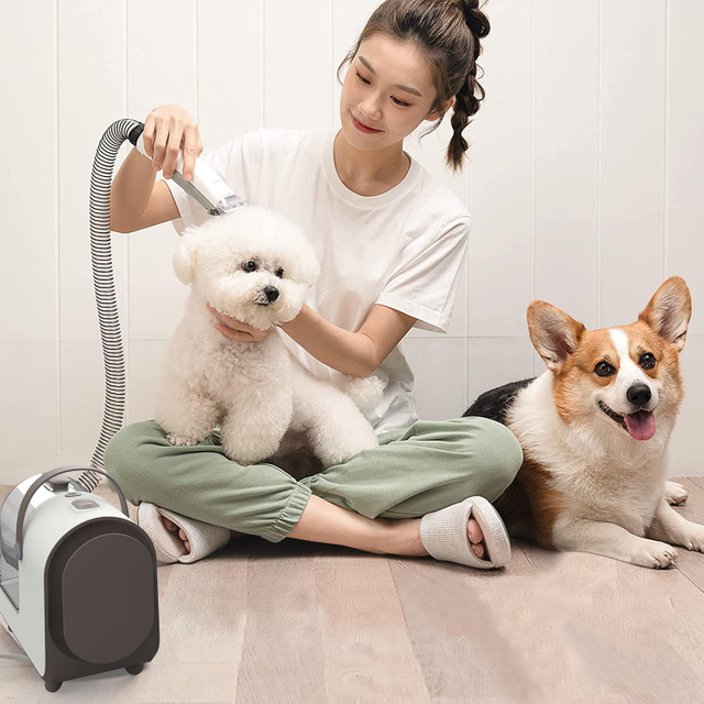 Small Dog Grooming Kit Vacuum Tools Quiet Pet Grooming Vacuum