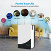 Factory big smart UV Air Purifier remove VOC