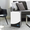 Commercial And Home DC Motor Air Purifier for Pollen Allergens