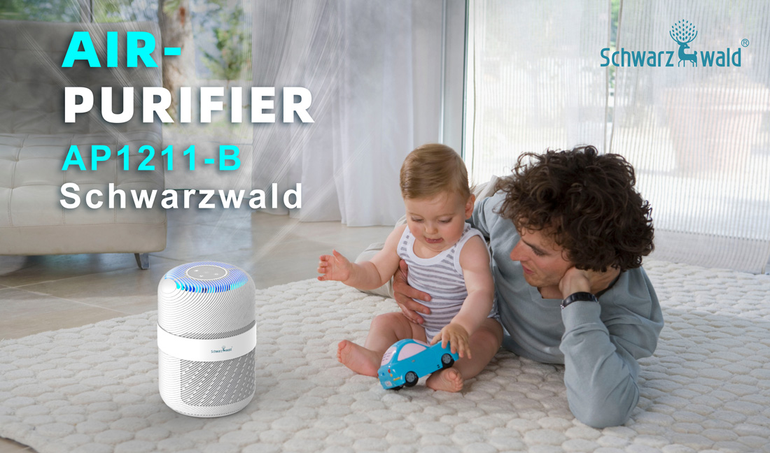 Anion Hepa And Carbon Air Purifier with Child Lock