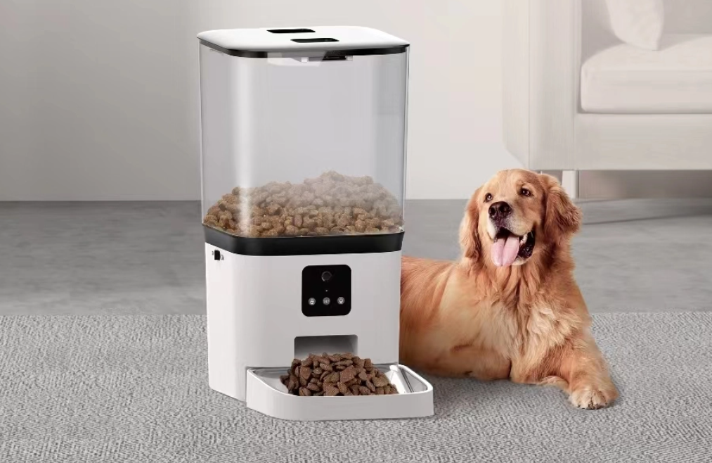 Is an Automatic Pet Feeder Worth It?