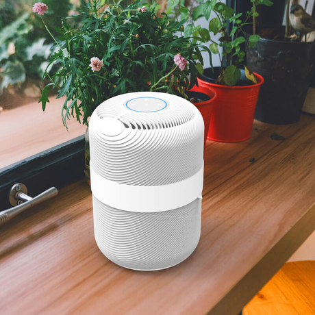 Anion Hepa And Carbon Air Purifier with Child Lock