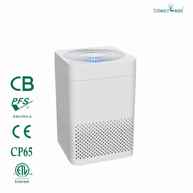 White Portable Hepa Air Purifier for Desktop 