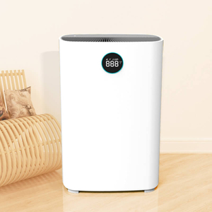 Customizable Plug Activated Carbon Touch Operation H14 Air Purifier